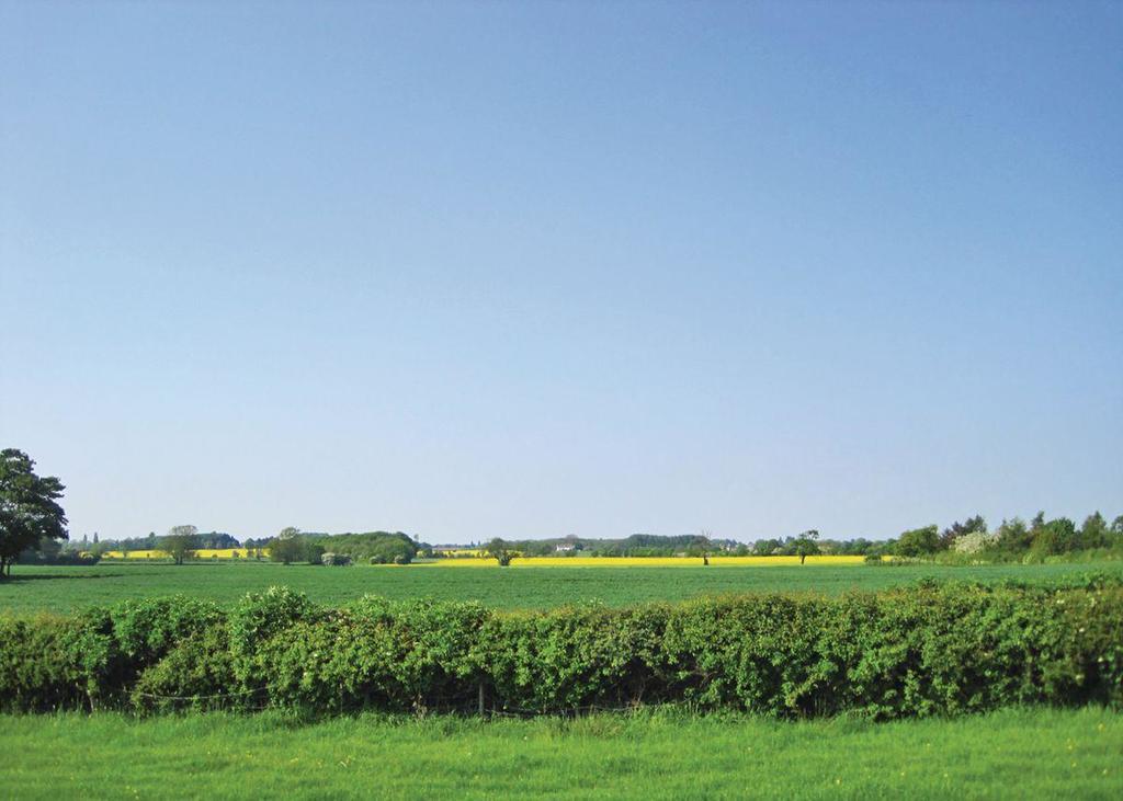 טדקסטר Wighill Manor Lodges מראה חיצוני תמונה